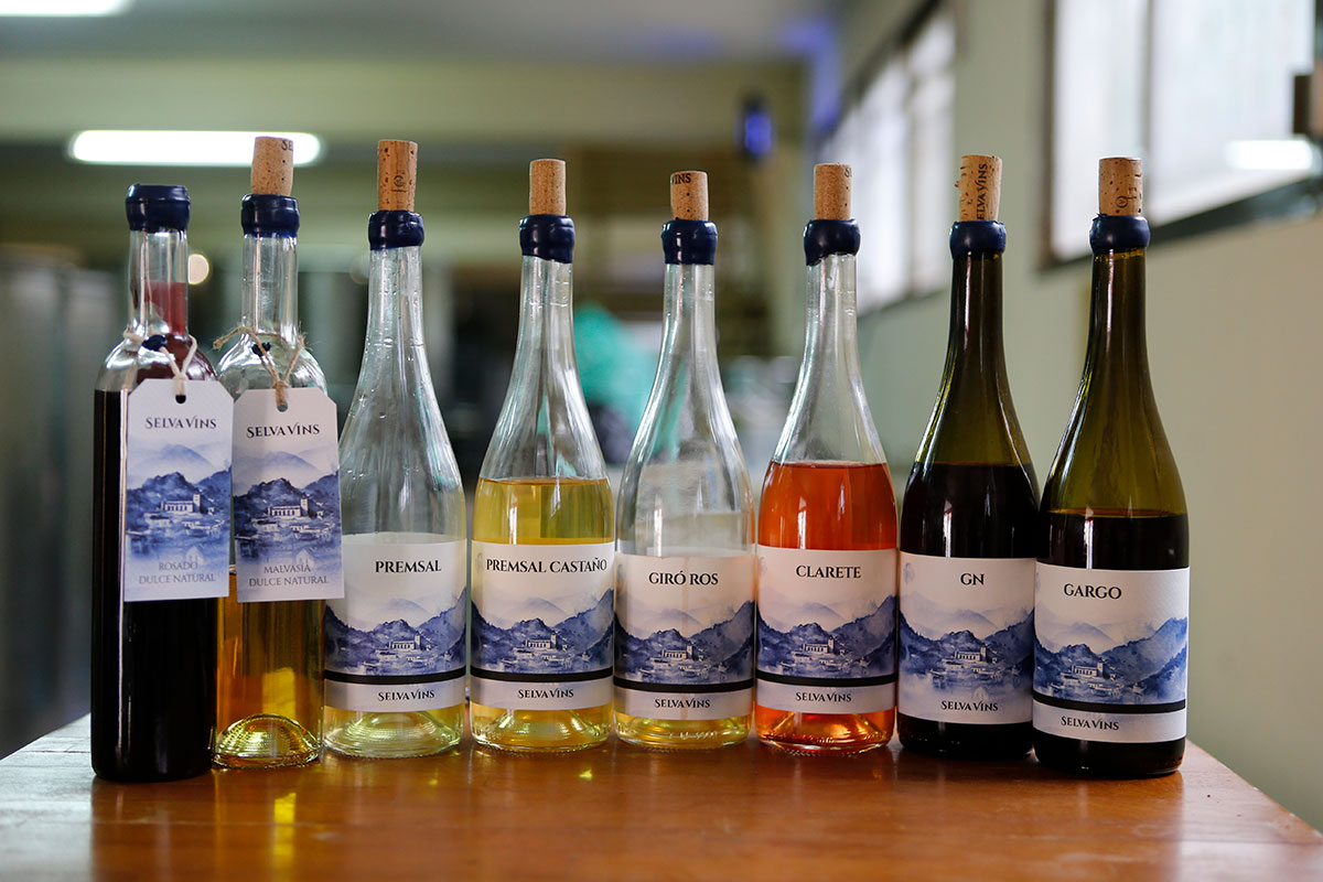 Bodega Selva Vins Visit