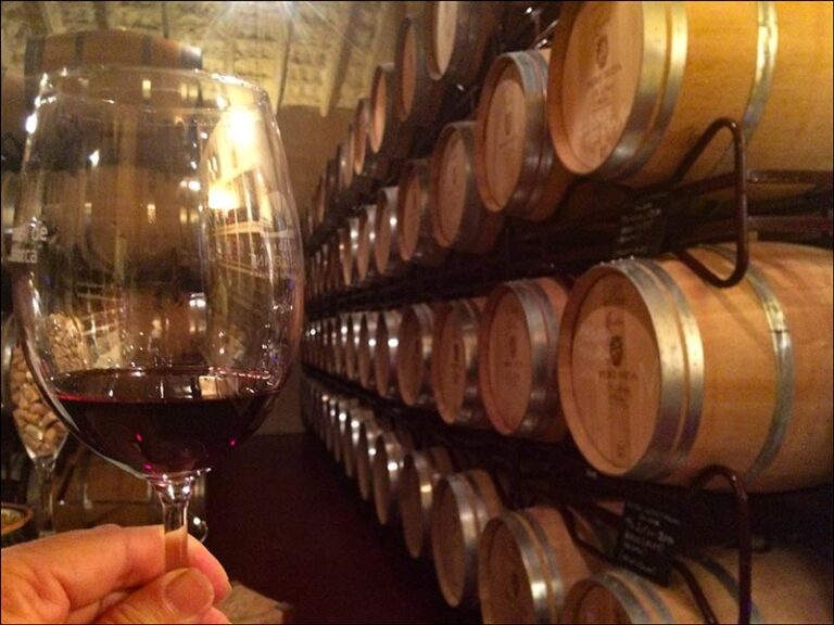Pere Seda Winery Visit