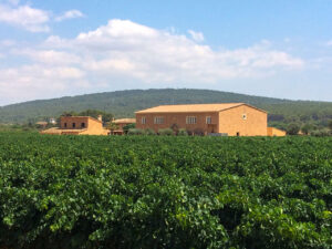 Bodegas Angel: Mallorca Wine Trail Photo Gallery
