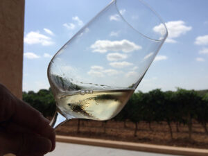 Son Prim in the Mallorca Wine Trail Photo Gallery