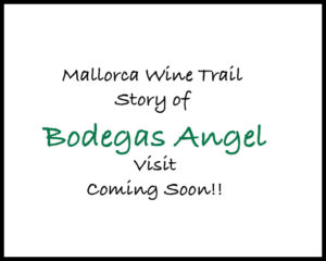 Bodegas Angel: Mallorca Wine Trail Photo Gallery