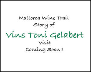 Vins Toni Gelabert in the Mallorca Wine Trail Photo Gallery